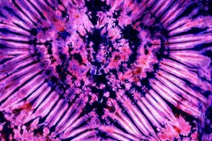 Tie Dyed Tapestry in Purple & Pink