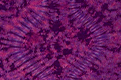 Tie Dyed Tapestry in Plum